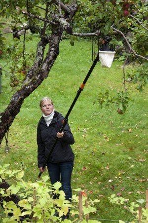 Universal Cutter Fiskars, per potare gli alberi senza l'uso della scala