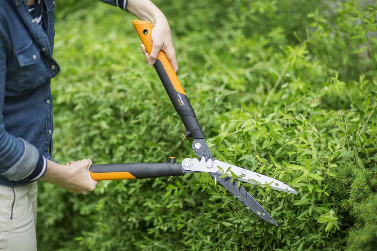 Nasce Fiskars PowerGearX: meno fatica e maggiore efficienza nella cura del giardino