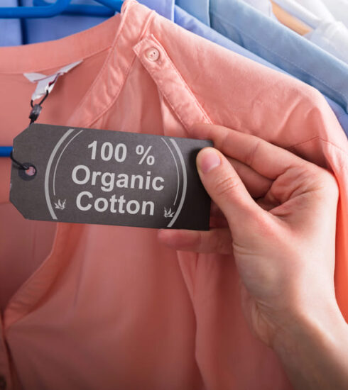 abbigliamento eco-friendly autunno 2024: camicia in cotone organico al 100% con cartellino, tra una selezione di capi sostenibili appesi su grucce